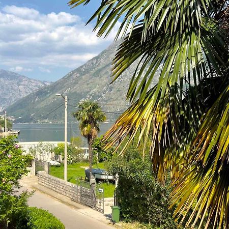 Apartments Asya Kotor Exterior foto
