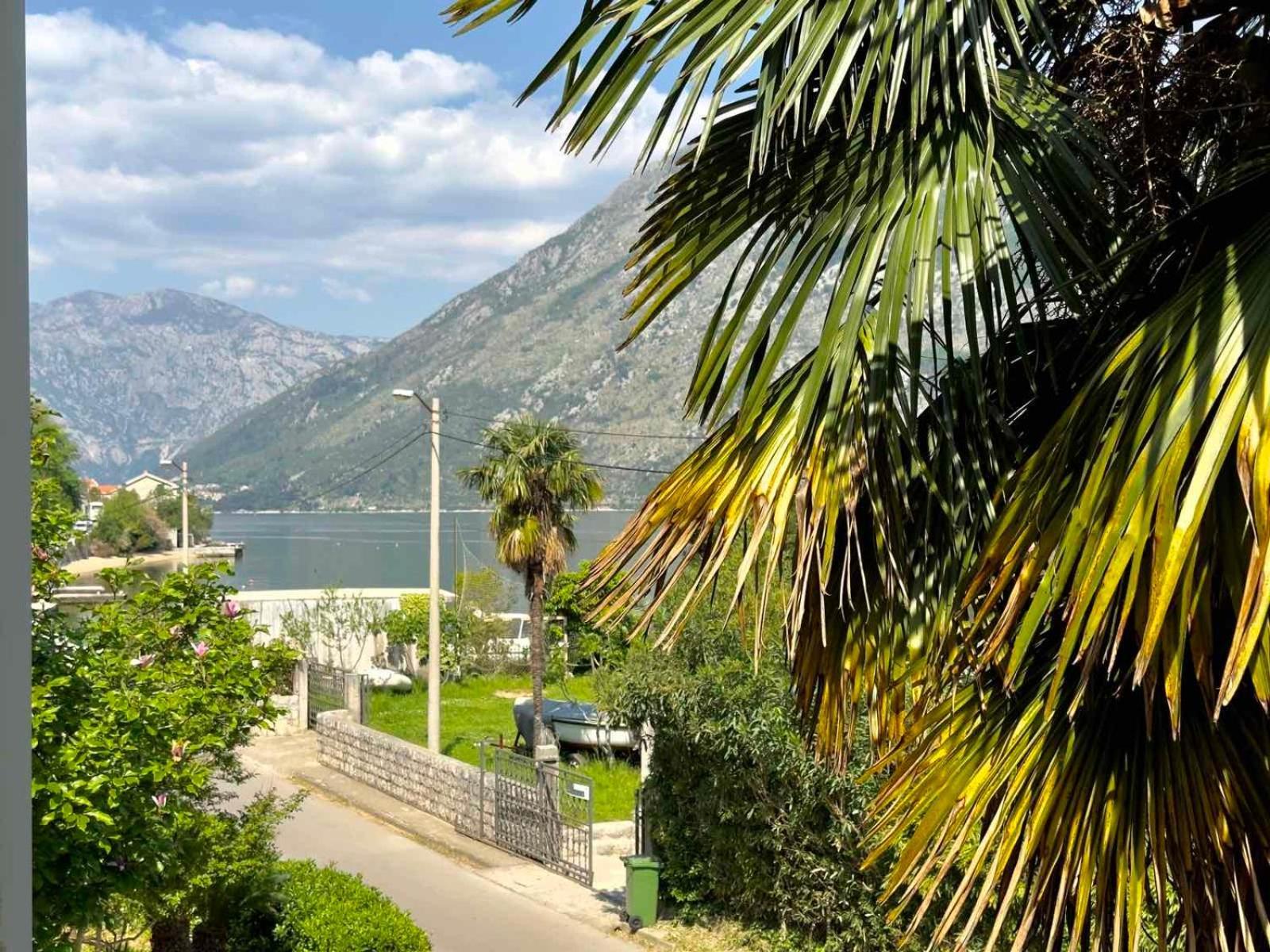 Apartments Asya Kotor Exterior foto